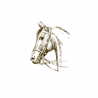 Horse Mugs
