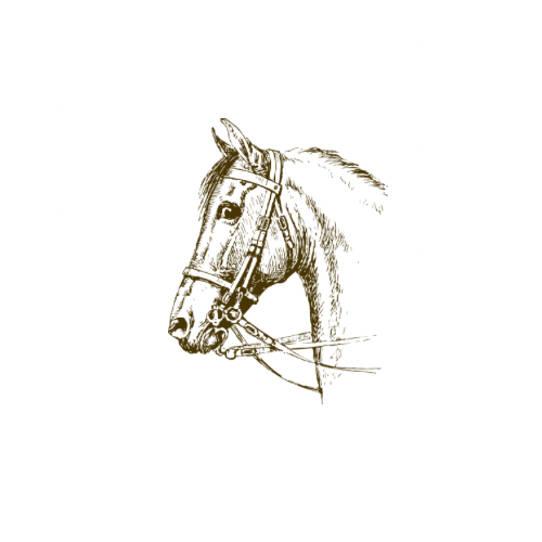 Horse Mugs
